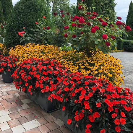 Jozsef House Apartman Zalakaros