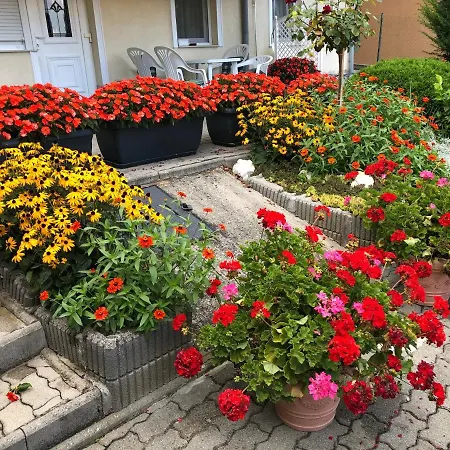 Daire Jozsef House *