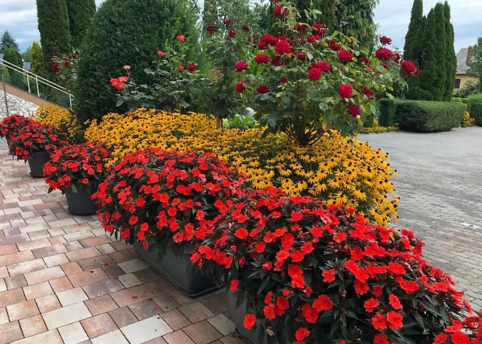 Jozsef House דירה זלקרוס